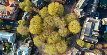 Highway Code Update 2021