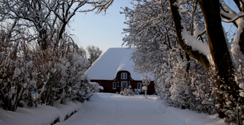 Winter Thatched Roof Protection Tips